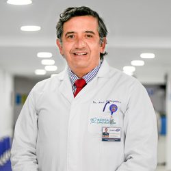 ALIRO GALLEGUILLOS ROMERO ALIRO GALLEGUILLOS ROMERO